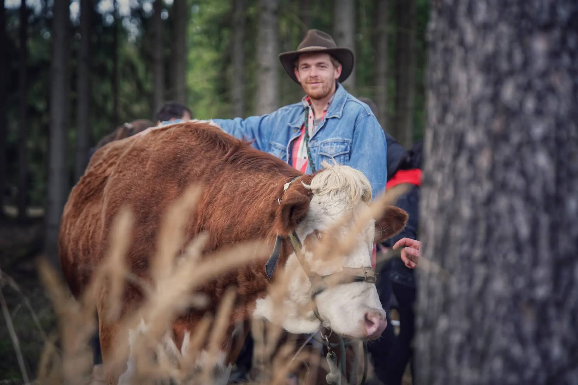 Tomáš objímá krávu Květu v lese