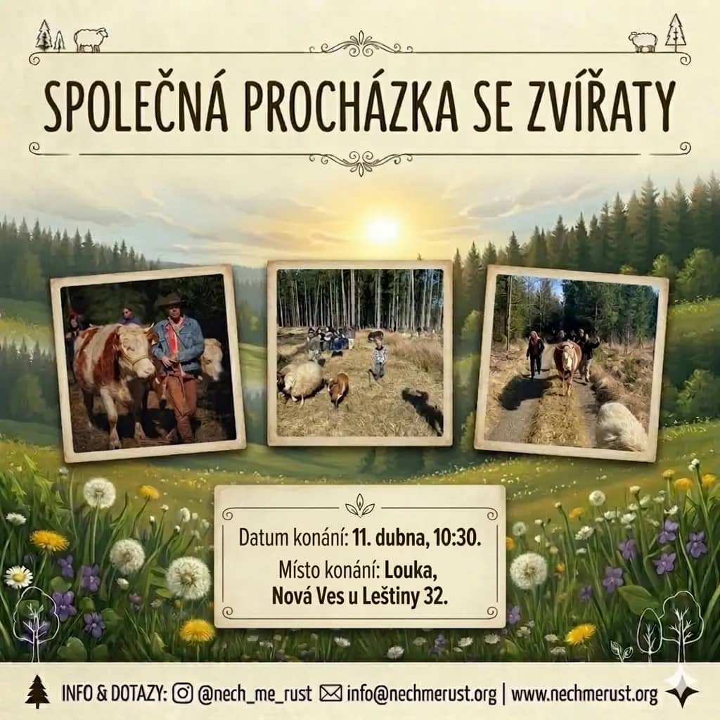 Společná procházka