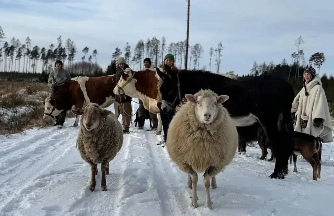 Putování 3