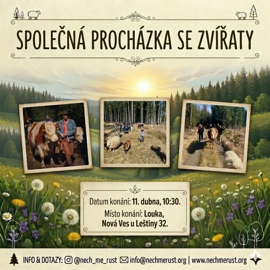 Společná procházka