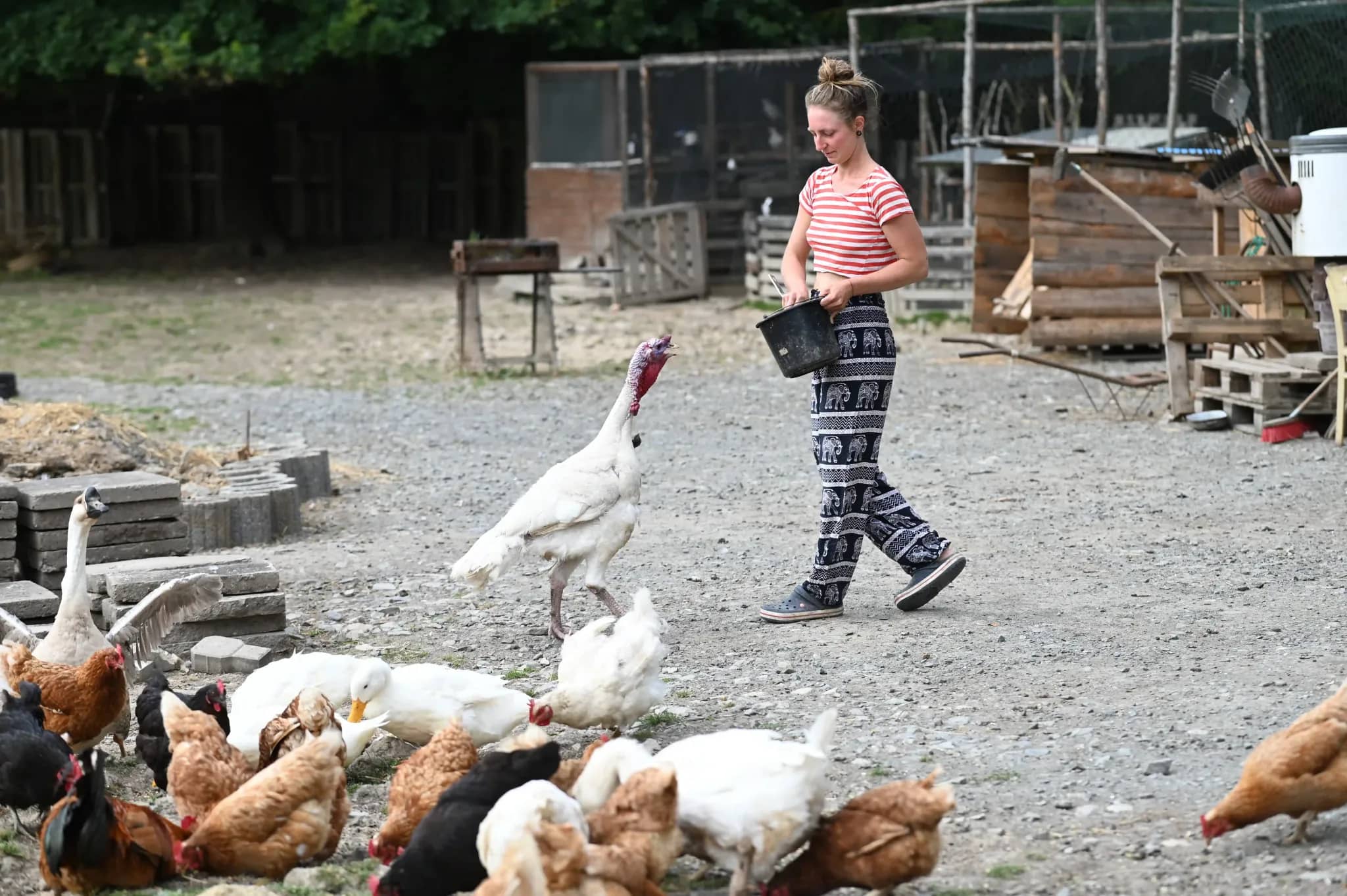 Návštěva Louky
